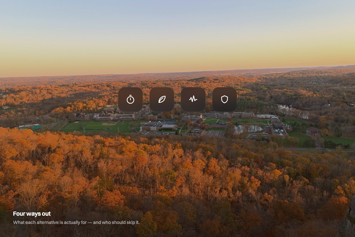 Four tool glyphs in a row over an autumn valley wallpaper, representing the four alternatives to Momentum — illustration